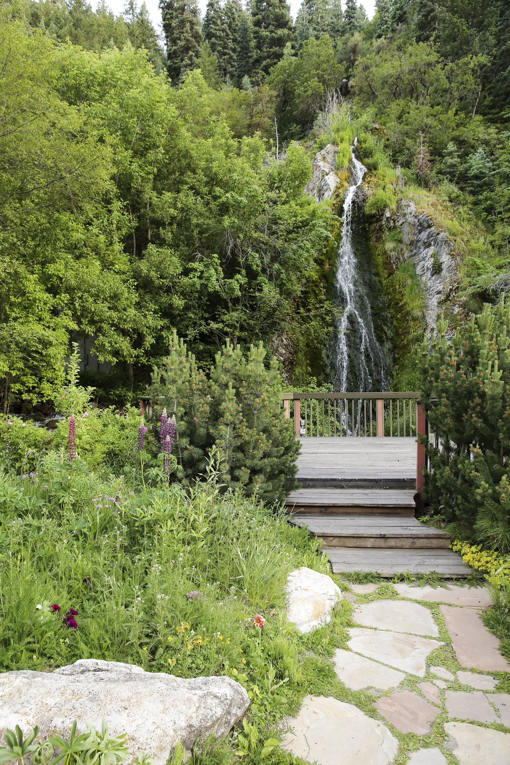 Pepper Nix Photography