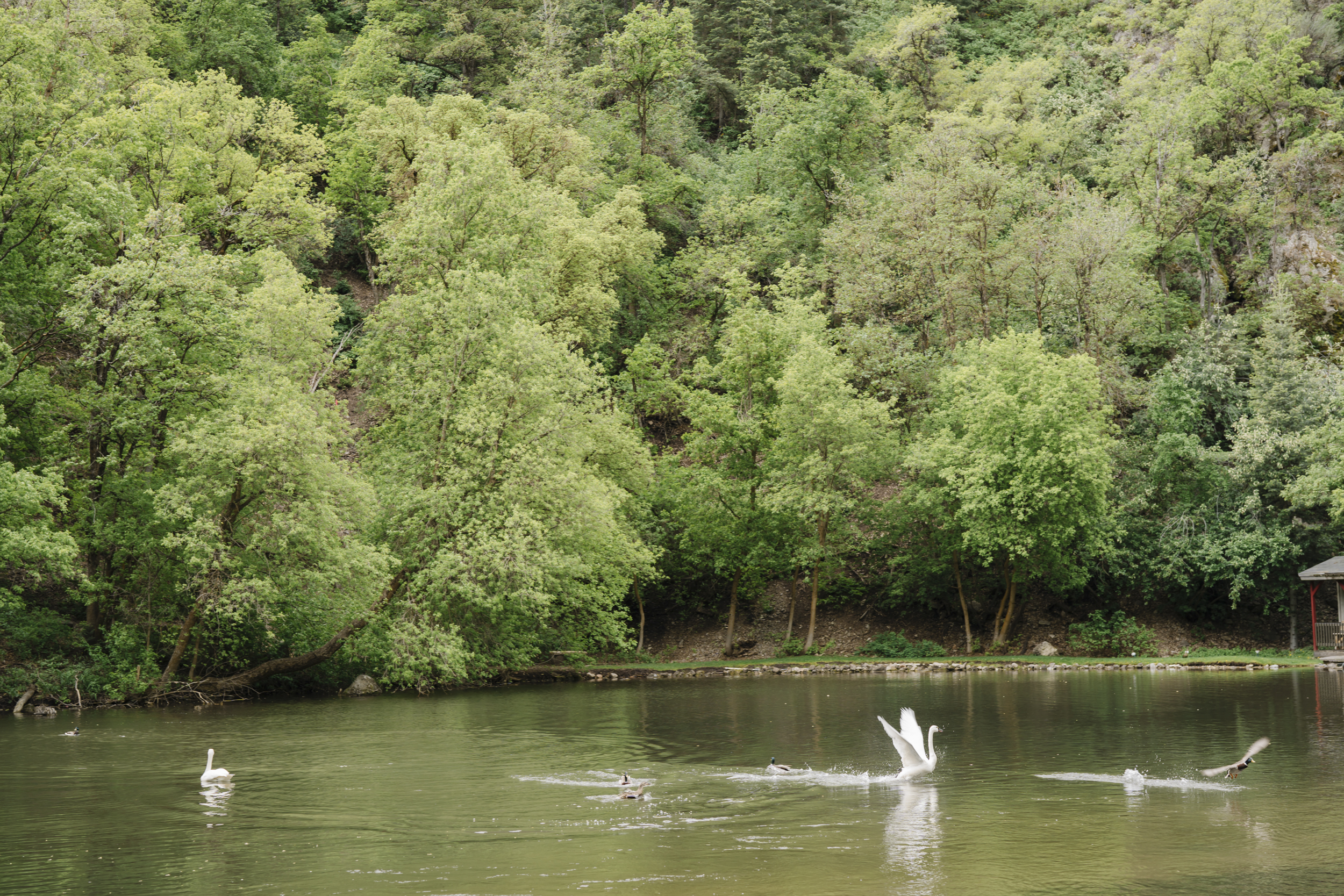 Pepper Nix Photography(1)-6