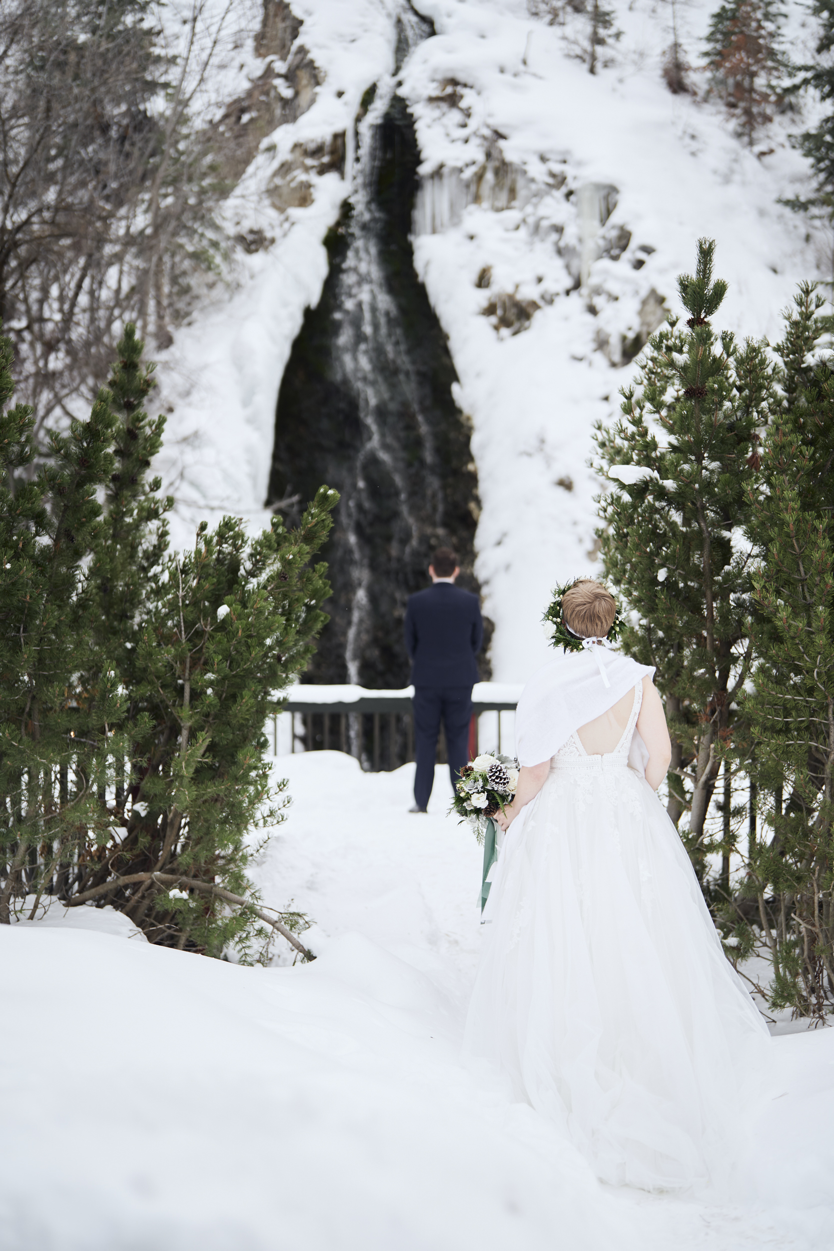 Scarlet Oak Photography