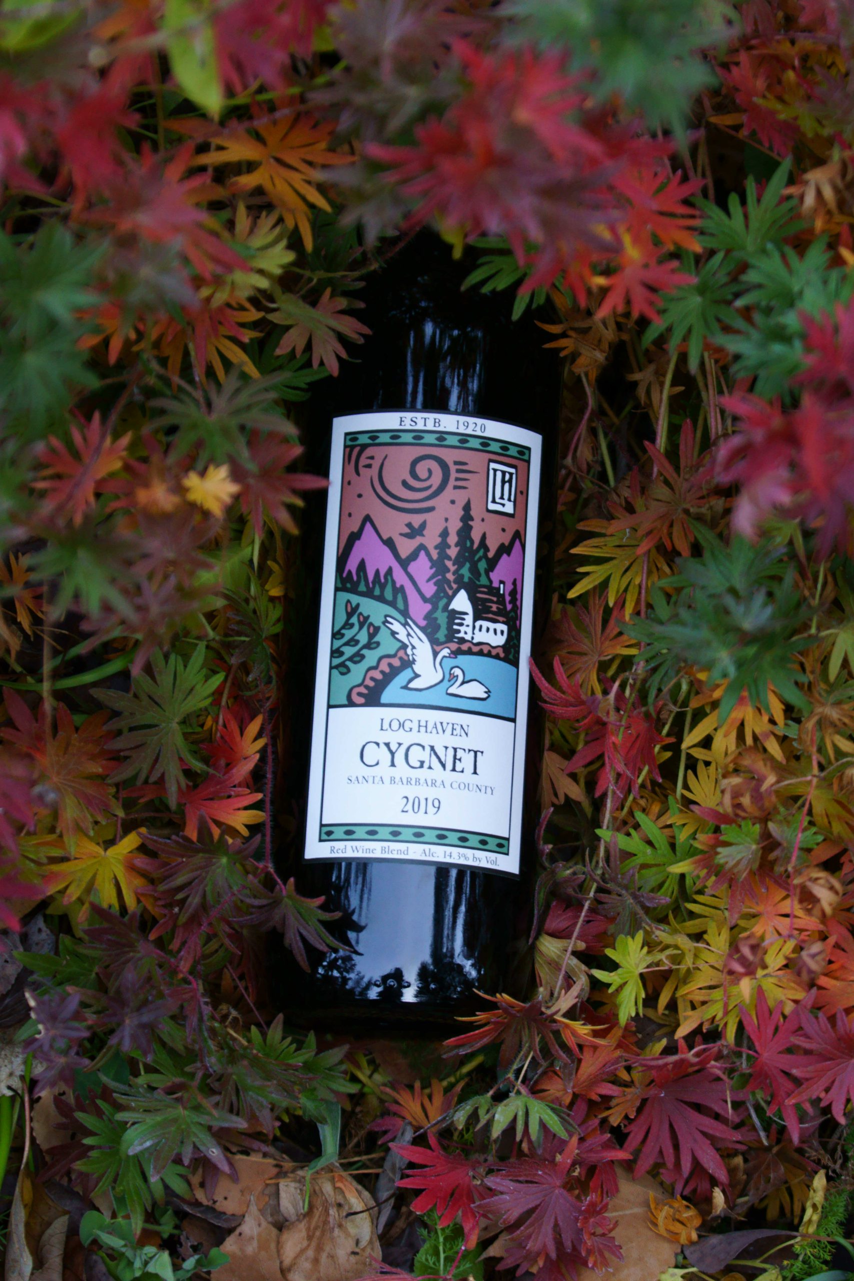wine 2